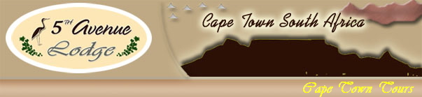 Cape Town Tours